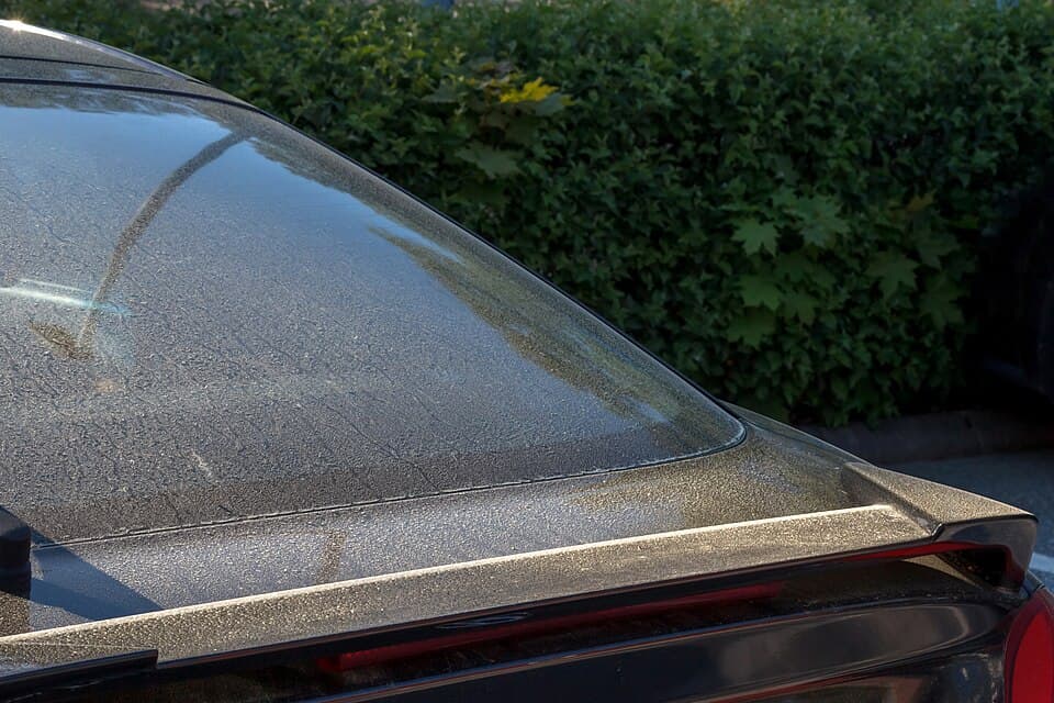 Pine pollen on a car in Tuntorp