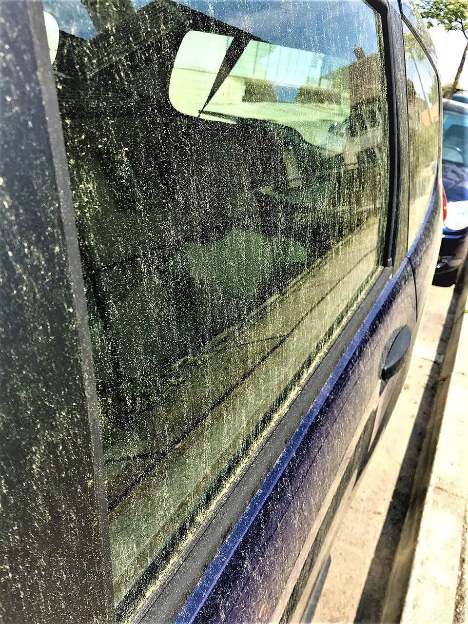 Pollen 2020
